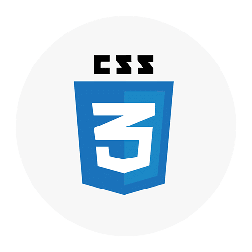 css icon web development company in bihar india